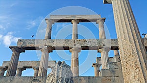 Greek ruins at the Temple of Aphaia on island of Egina ancient roman columns golden hour historic remains Greece Mediterranean sea