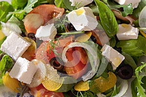 Greek salad feta olives tomato basil  onion dill oil pepper capsicum