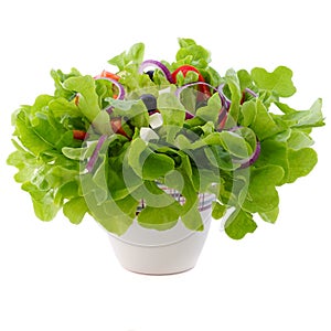 Greek salad in a pot for houseplants. White background.