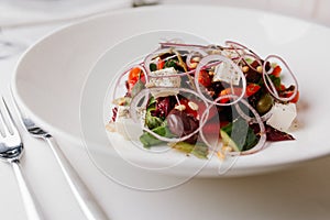 Greek salad on the white plate