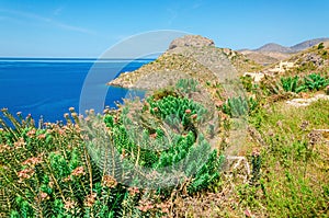 Greek sea bay with grass and bushed , Kos, Greece