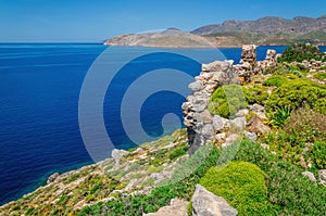 Greek sea bay with grass and bushes, Greece