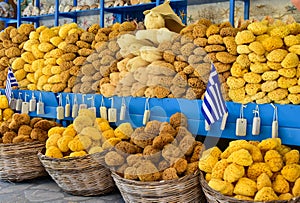 Greek sea sponges for sale photo