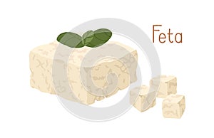 Greek soft curd cheese with green leaves. Piece and cubes of Feta chees. Crumbly dairy product. Colored flat vector