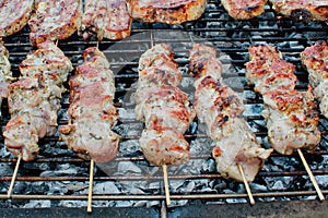 Greek Souvlaki and steaks