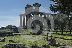 Greek Temple of Ceres, Paestum, Cilento Italy