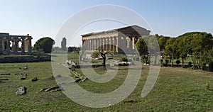 Greek temple paestum