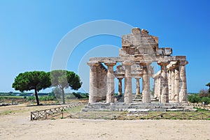 Greek Temple in Paestum, Italy