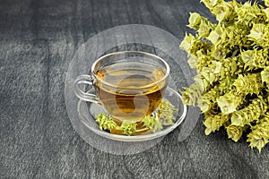 Greek traditional herbal tea in transparent cup. Bunch of mountain tea Malotira and mug with hot tea. Mountain tea sideritis.