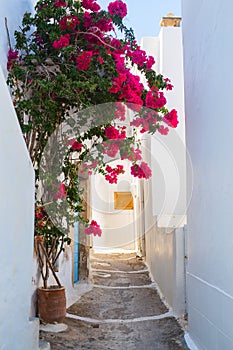 Greek traditional village on Milos island