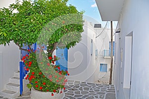Greek Village