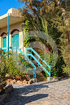 Greek yellow house with blue wood elements and plants on the fro