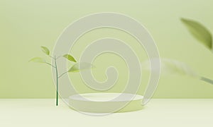 Green 3d podium background with geometric cylinder mock up the podium in the green background with green plant leaves. product