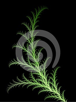 Green 3D rendered fern