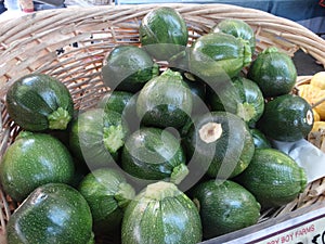 Green 8 ball squash, Cucurbita squash