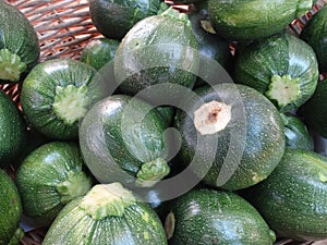 Green 8 ball squash, Cucurbita squash