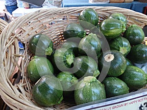 Green 8 ball squash, Cucurbita squash