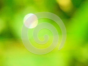Green abstrackt background