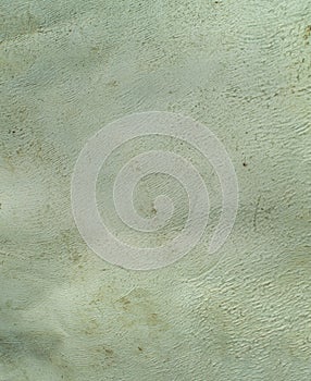 Green abstract background or texture