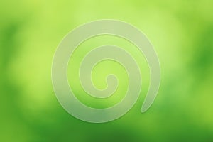 Green Abstract Forest Nature Background