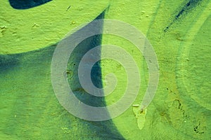 Green abstract gradient graffiti texture