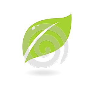 Green abstract leaf icon. Elements for eco and bio logos. Vector symbol isolated on a white background.