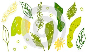 Green abstract leaves and doodle texture elements. Cute pretty botany set for spring summer trendy flat modern design