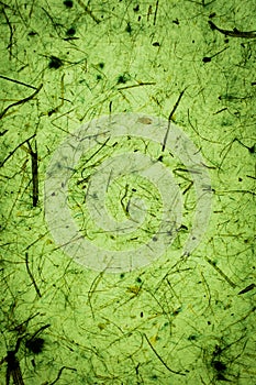 Green abstract texture and background. Green vintage texture made with recycled paper.