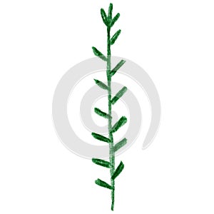 Green abstract tree isolated element. Hand drawn graphic branches, flowers and leaves. Pencil botanical sketch. Can be used for de