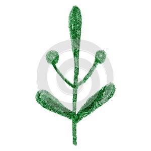 Green abstract tree isolated element. Hand drawn graphic branches, flowers and leaves. Pencil botanical sketch. Can be used for de