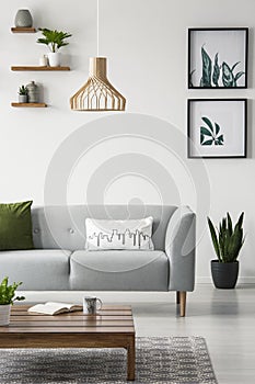 Green accents in a modern living room interior with a sofa, coffee table, lamp and graphics on a wall. Real photo