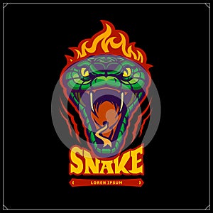 Green aggressive serpent with burning head. Snake emblem. Tattoo design. Design for t-shirt, poster and sport club.