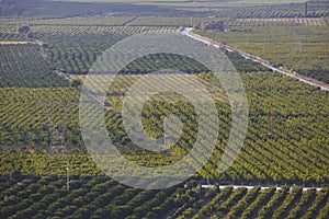 Green agricultural area in Turkey. Turkish food industry. Agronomy resources