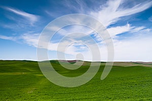 Green Agricultural Field Farm Blue Skies Country