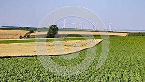 Green agricultural field with wind turbines against a blue sky