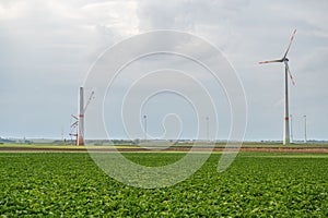 Green agricultural field with wind turbines under the cloudy sky