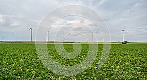 Green agricultural field with wind turbines under the cloudy sky