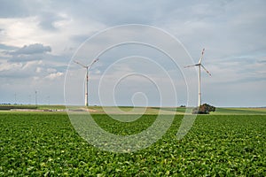 Green agricultural field with wind turbines under the cloudy sky