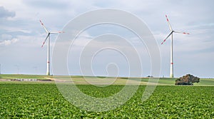 Green agricultural field with wind turbines under the cloudy sky