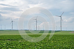 Green agricultural field with wind turbines under the cloudy sky