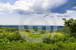 Green agriculture fields with grain and hill landscape