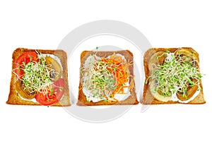 Green alfalfa sprouts,fresh and dried tomatoes on toasted slices of wholegrain bread