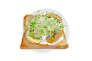 Green alfalfa sprouts, grilled portabello mushrooms on toasted slices of wholegrain bread on white