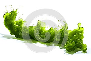 Green Algae Algae On White Background. Generative AI