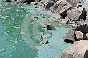 Algae bloom pollution