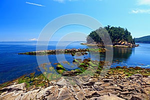 Green Algae on Boulders at Campbell Point, Bennett Bay, Gulf Islands National Park and Reserve, British Columbia, Canada photo