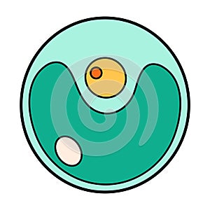 Green Algae Chlorella proteus science icon with nucleus, vacuole, contractile. Biology education laboratory cartoon photo