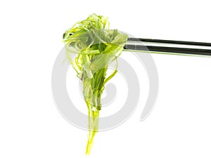 Green algae and chopsticks photo