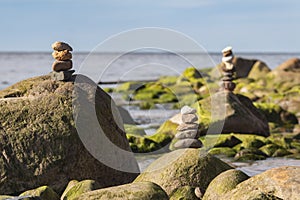 Green algae covered boulders at sea coast beach.