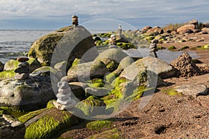 Green algae covered boulders at sea coast beach.